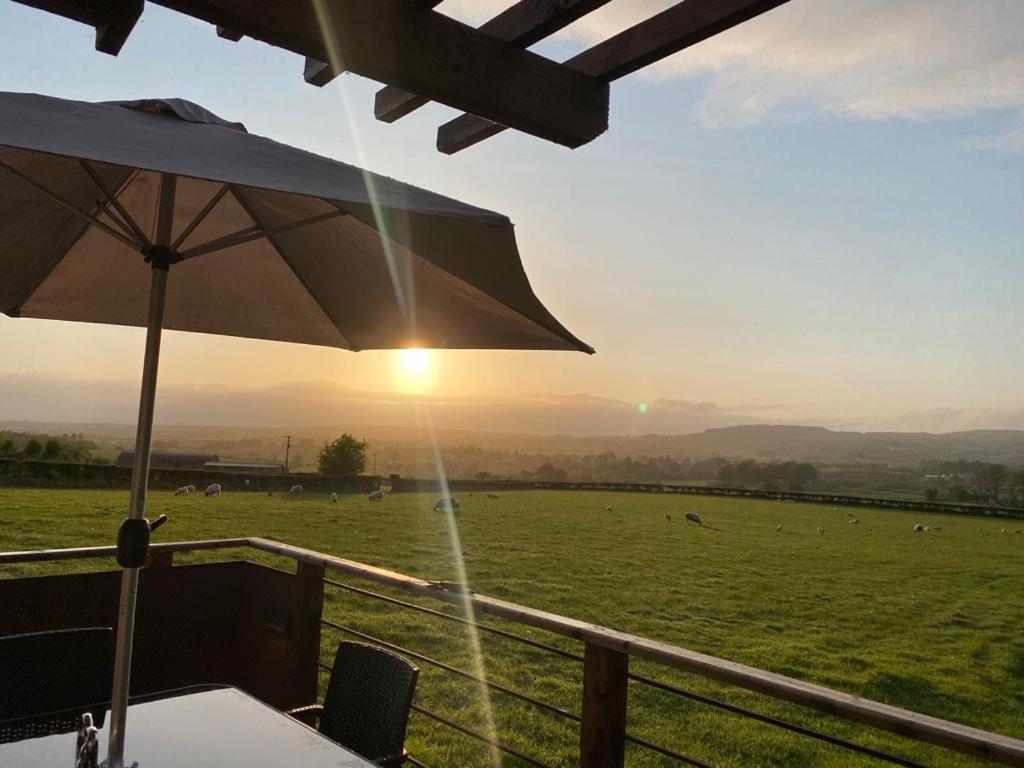 Fallburn Hideaway Martinstown Екстериор снимка
